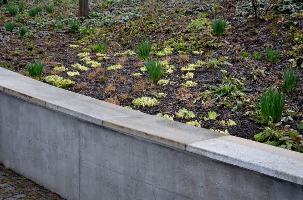 Concrete Wall Construction in Ankeny