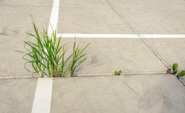 Concrete Parking Installation in Ankeny