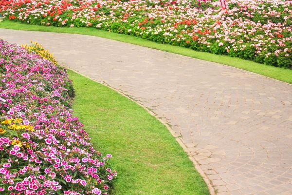 Concrete Walkway Service in Ankeny